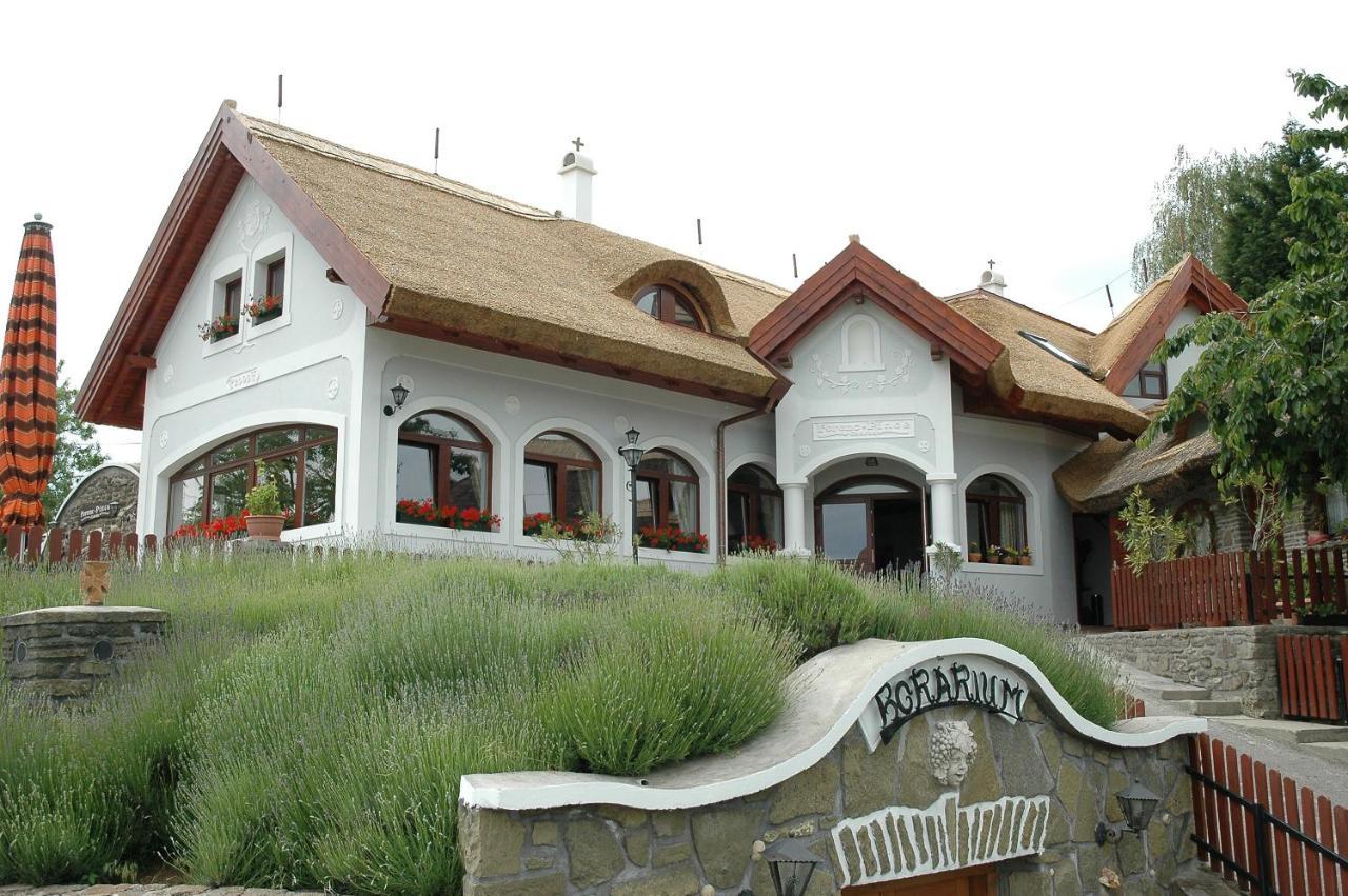 Ferenc Vendeghaz Hotel ตีฮานี ภายนอก รูปภาพ
