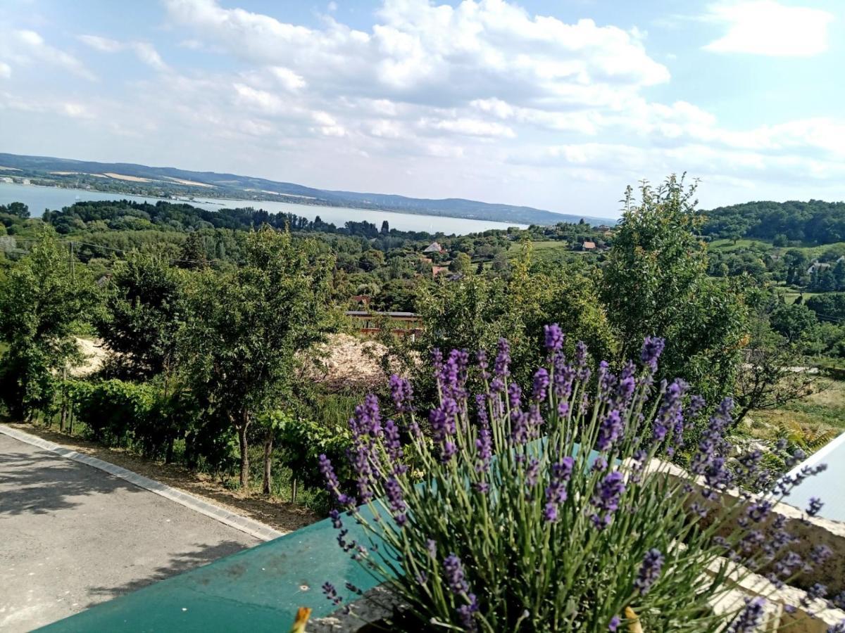 Ferenc Vendeghaz Hotel ตีฮานี ภายนอก รูปภาพ